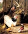 unknow artist Hen chicken and pigeon China oil painting art